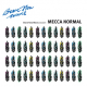 Mecca Normal: BRAVE NEW WAVES SESSIONS CD