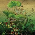 Dave Ball / Jon Savage: PHOTOSYNTHESIS CD