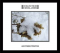 Collection D'Arnell Andrea: ANOTHER WINTER CD