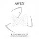 Awen: REINCARNATION CD