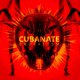 Cubanate: BRUTALISM [BEST OF] CD
