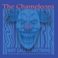 Chameleons, The: WHY CALL IT ANYTHING (2CD Reissue)