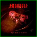 Amduscia: FROM ABUSE TO APOSTASY CD