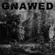 Gnawed: FEIGN AND CLOAK CD