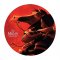 Various Artists: Mulan OST (PICTURE DISC) VINYL LP