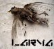 Larva: DIOGENESIS SYNDROME CD