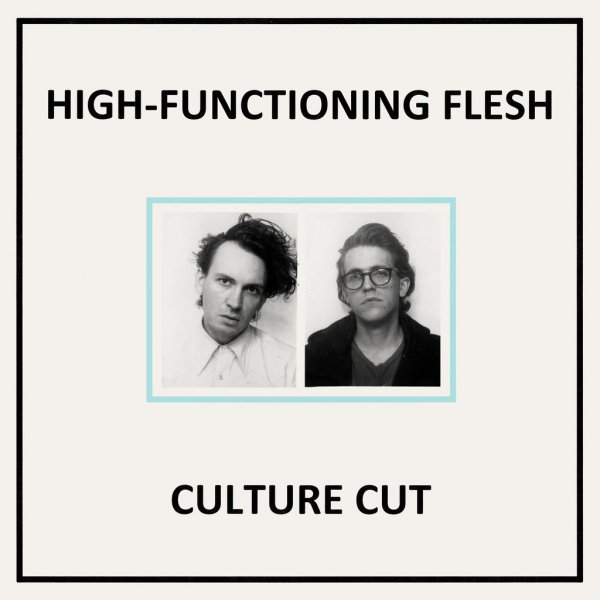 High-Functioning Flesh: CULTURE CUT CD - Click Image to Close