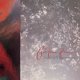 Cocteau Twins: TINY DYNAMITE / ECHOES IN A SHALLOW BAY Reissue VINYL LP