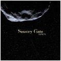 Sensory Gate: IANUS