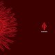 Red Mishima: RED MISHIMA CD