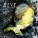 Dive: SNAKEDRESSED (YELLOW) VINYL 2XLP