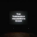 Threshold Houseboys Choir, The: FORM GROWS RAMPANT (BLACK) VINYL 2XLP