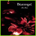 Blutengel: LIVE LINES DVD