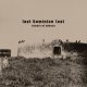 Last Dominion Lost: TOWERS OF SILENCE LP