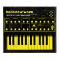 Various Artists: Italia New Wave: Minimal Synth, No Wave, & Post Punk Sounds From The '80s Italian Underground VINYL LP