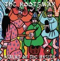 Rootsman, The: REALMS OF THE UNSEEN VINYL LP