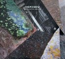 Merzbow: FLESH METAL ORGASM CD