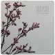 White Birches: LETHE'S BRAMBLE (LIMITED) CDS (PRE-ORDER, EXPECTED LATE OCTOBER)