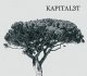 Kapitalet: KAPITAL3T (LIMITED) CDS