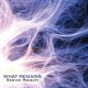 Steve Roach: WHAT REMAINS CD