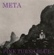 Pink Turns Blue: META CD
