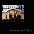 My Life With The Thrill Kill Kult: CONFESSIONS OF A KNIFE (+ BONUS TRACKS) REISSUE CD