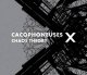 Cacophoneuses: CHAOS THEORY CD
