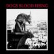 Current 93: DOGS BLOOD RISING Reissue