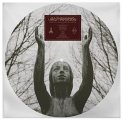 Of The Wand And The Moon: TUNES FOR A TWILIGHT TEARS FOR A LIFETIME (LIMITED) PICTURE DISC VINYL LP