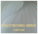 Collection D'Arnell Andrea: FOREST INSIDE, A CD