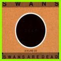 Swans: SWANS ARE DEAD