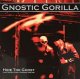 Gnostic Gorilla: HIDE THE GHOST CD