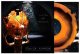 Clan Of Xymox: DAYS OF BLACK (LIMITED ART EDITION) VINYL LP