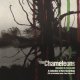 Chameleons, The: DREAMS IN CELLULOID (2CD Reissue)