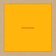 Swans: LEAVING MEANING 2CD