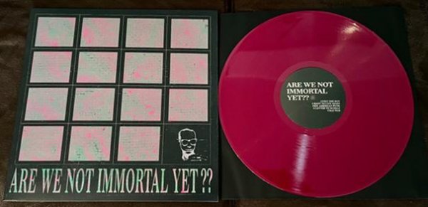 This Cold Night: ARE WE NOT IMMORTAL YET? (LIMITED PURPLE) VINYL LP - Click Image to Close