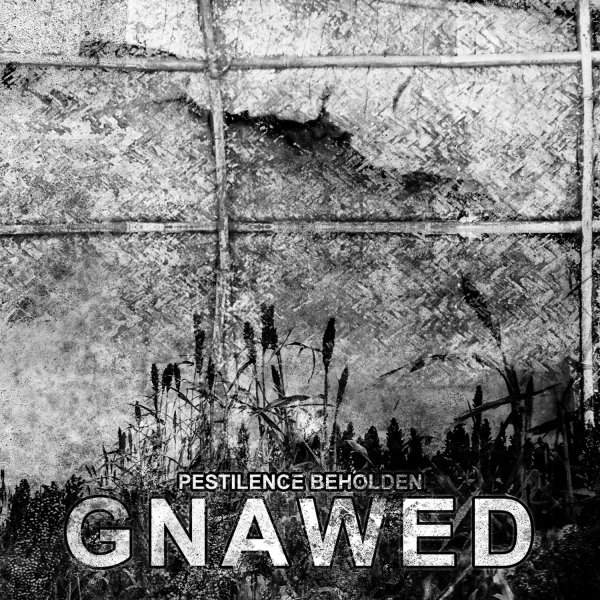 Gnawed: PESTILENCE BEHOLDEN CD - Click Image to Close
