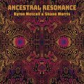 Byron Metcalf & Shane: ANCESTRAL RESONANCE CD