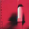 Diamond Dog: USUAL CHRONICLES CD (PRE-ORDER, EXPECTED MID MAY)