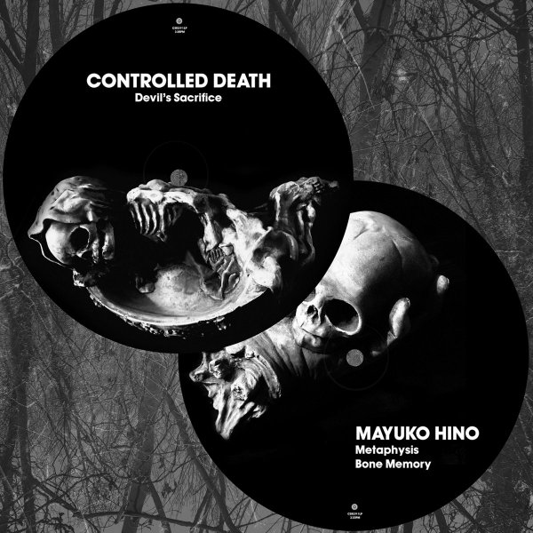 Controlled Death/Mayuko Hino: SPLIT (PICTURE DISC) VINYL LP - Click Image to Close