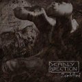 Deadly Injection: ZOMBIFIED CD