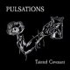 Pulsations: TAINTED COVENANT CD