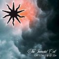 This Immortal Coil: DARK AGE OF LOVE, THE CD