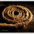Coil / Nine Inch Nails: RECOILED CD