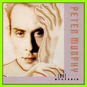 Peter Murphy: LOVE HYSTERIA - Click Image to Close
