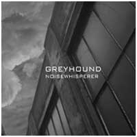 Greyhound: NOISEWHISPERER - Click Image to Close