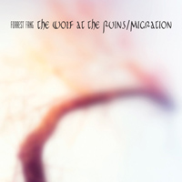 Forrest Fang: WOLF AT THE RUINS, THE / MIGRATION (LTD 2CD) - Click Image to Close