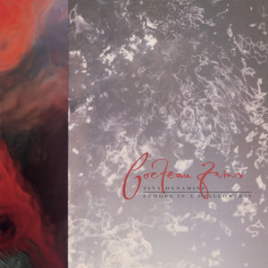 Cocteau Twins: TINY DYNAMITE / ECHOES IN A SHALLOW BAY Reissue VINYL LP - Click Image to Close