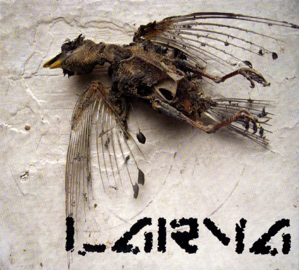 Larva: DIOGENESIS SYNDROME CD - Click Image to Close