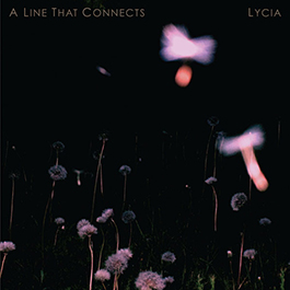 Lycia: LINE THAT CONNECTS, A Reissue CD - Click Image to Close